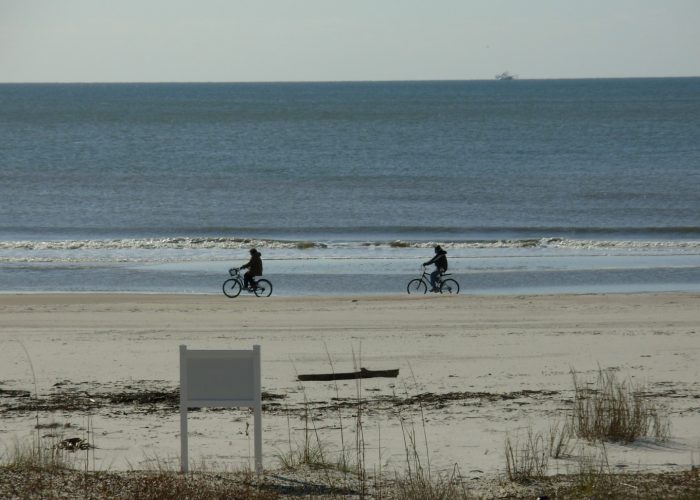 Bike Riders on Beach in Front of Two Palms