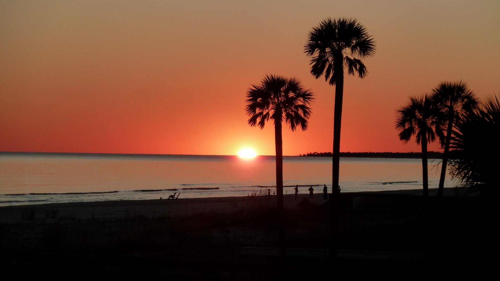 Two Palms Sunset