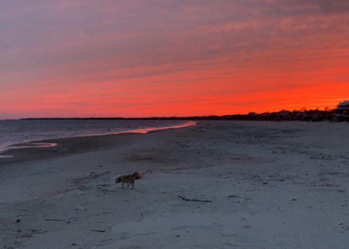 Sunset from Two Palms Beach with Guest's Dog