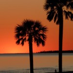 Two Palms Sunset