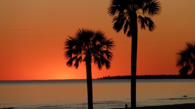 Two Palms Sunset