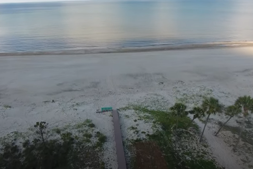 Drone Top of two palms looking at Gulf and Beach