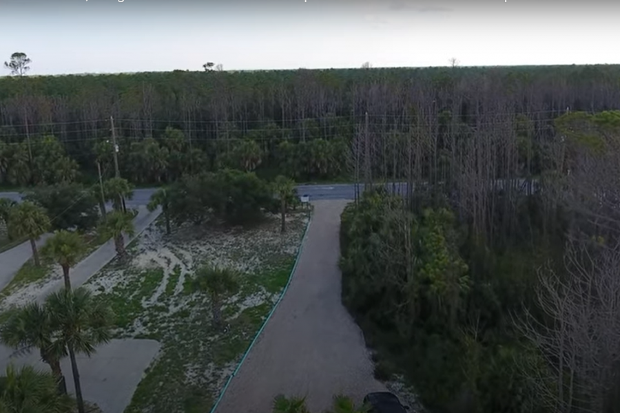 two-palms-driveway-facing-out-to-reserve